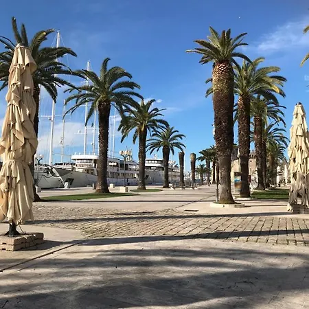 Zrina - トロギール