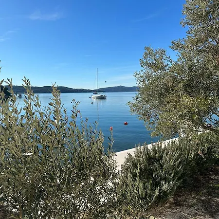 Zrina - アパート *