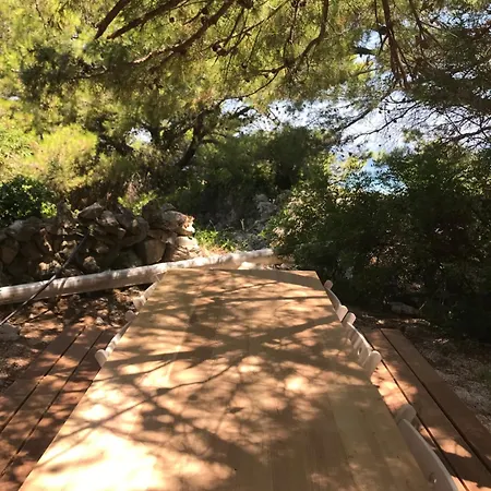 Zrina - トロギール