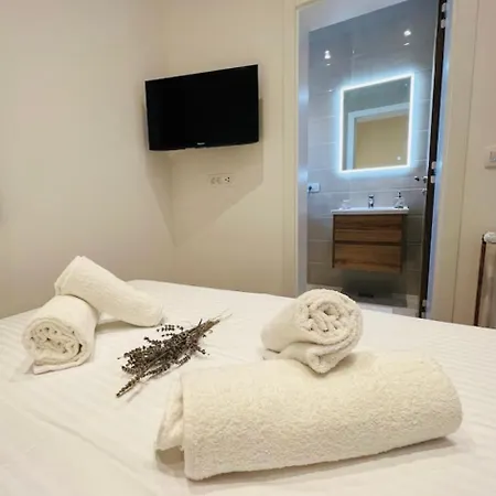 Zrina - トロギール